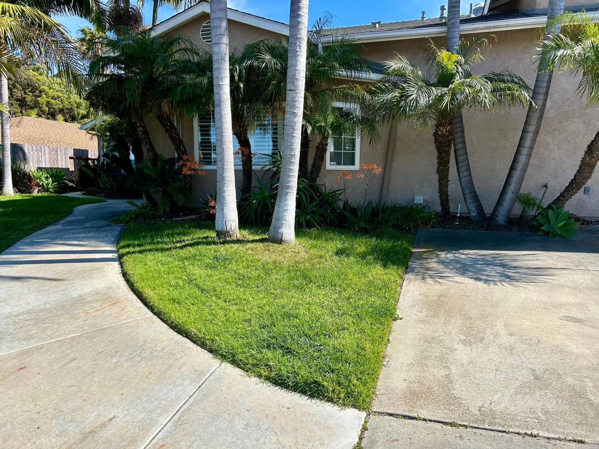 Spacious & Pet Friendly Oceanside Home Eksteriør billede